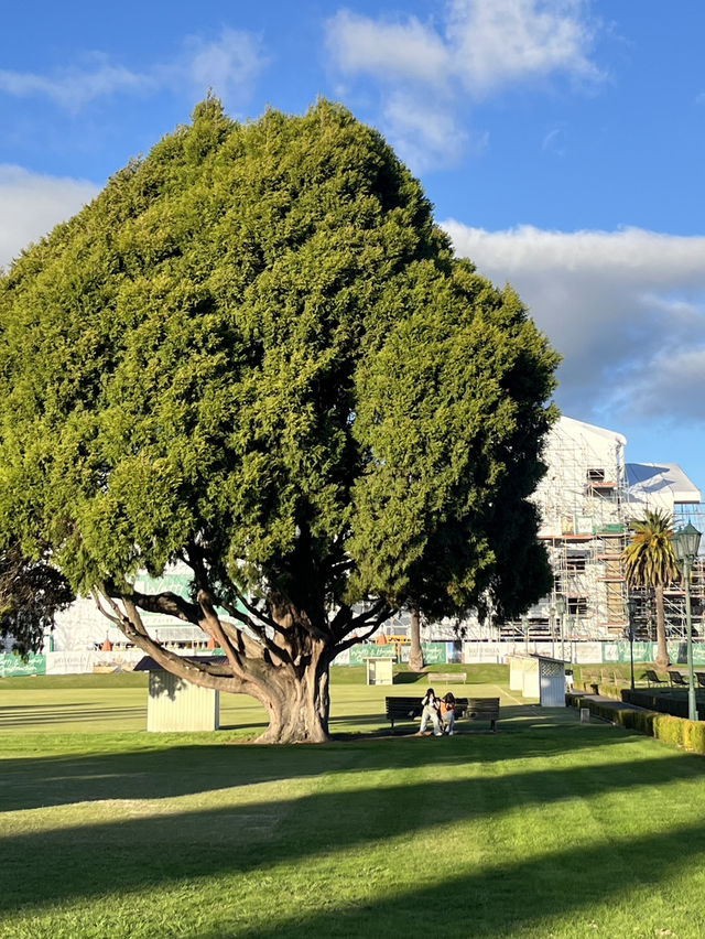 🏛️ Rotorua Government Gardens: Where Tudor Elegance Meets Māori Earth! 🌿