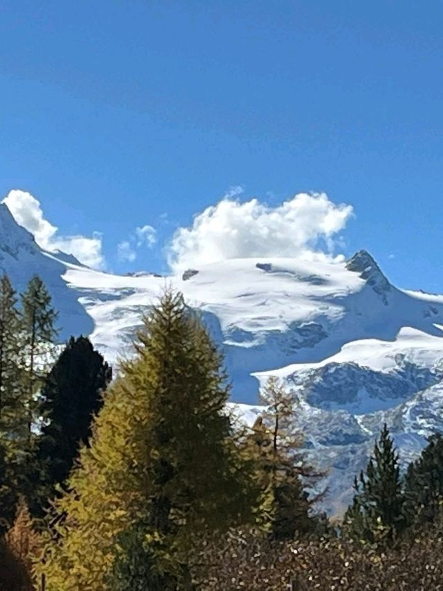 Lucerne