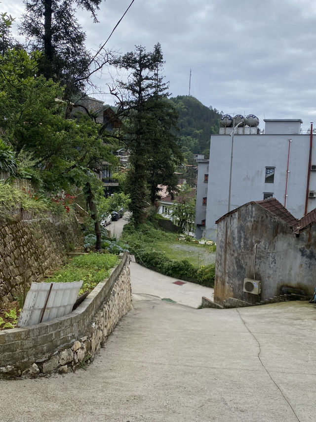 Sapa chill retreat