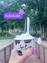 🪻วางแผน one day trip Asahikawa-biei-furano🪻