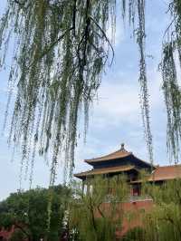 🏯中国の歴史を感じる｜北京・故宮博物館・紫禁城