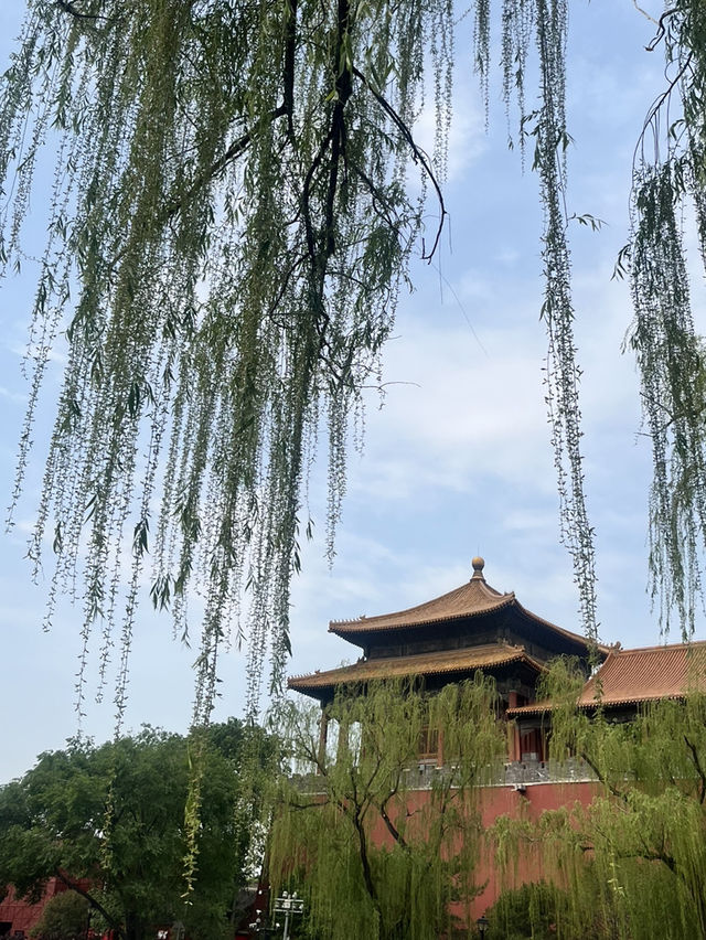 🏯中国の歴史を感じる｜北京・故宮博物館・紫禁城