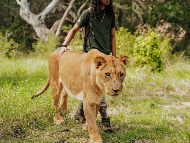 Casela Nature Parks - Warm & caring moment ❤️