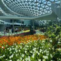 สวนดอกไม้เมืองหนาว ระยอง 🌷🤍