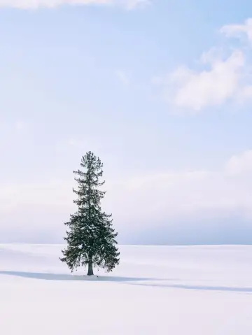 聽說札幌下雪了