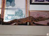 āļāļīāļāļīāļāļ āļąāļāļāđāļ§āļąāļāļāļĢāļ°āļāļĢāļĄāļāļēāļāļļāļ§āļĢāļ§āļīāļŦāļēāļĢ