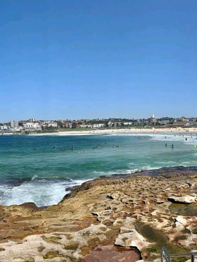 Sydney’s Sun Soaked Coastal Icon