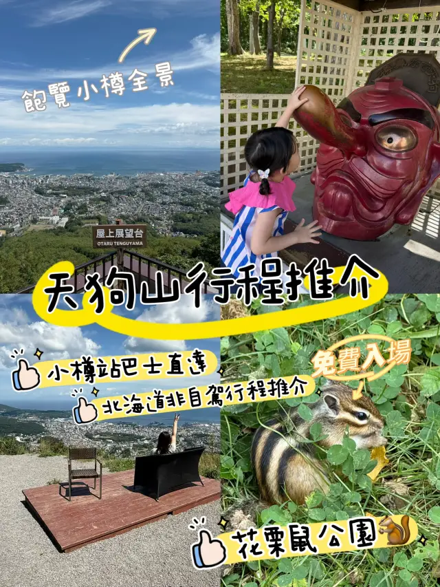 北海道秘境!天狗山展望台絕景+超萌花栗鼠親密接觸