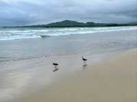 Isla Isabela Discover Untamed Beauty