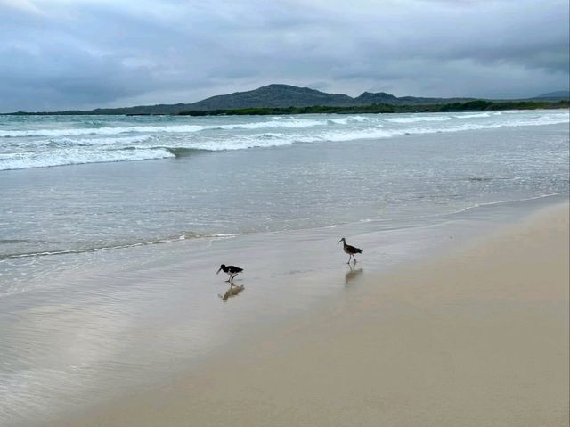 Isla Isabela Discover Untamed Beauty Isla Isabela Discover Untamed Beauty