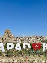 반나절 투어 즐기기