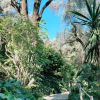 A Lemon-Scented Dream: Family Adventure at La Citronneraie