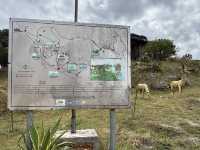 Preah Monivong Bokor National Park ឧទ្យានជាតិព្រះមុនីវង្ស បូ