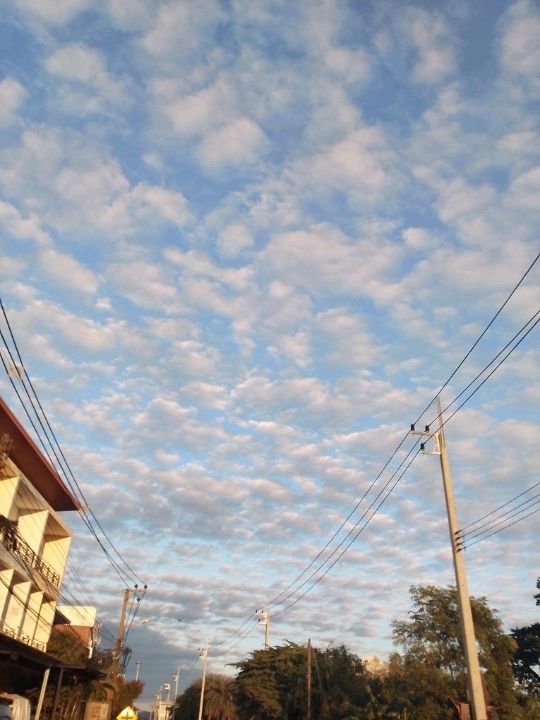 เติมป่าเติมดอยกับผาฮี้ที่เชียงราย