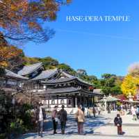 🌸 รีวิว: วัดฮาเซะ-เดระ (Hase-dera Temple) 