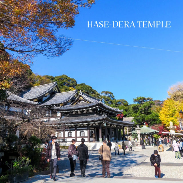 🌸 รีวิว: วัดฮาเซะ-เดระ (Hase-dera Temple) 