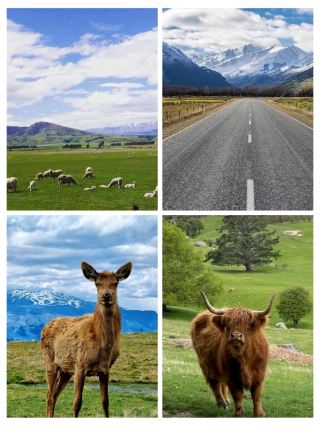 #explorenewzealand
⛰️ Queenstown – New Zealand’s Scenic Playground 🇳🇿

🌟 Why Visit:

Stunning alpine views everywhere you look

Lakeside walks, cosy cafés and charming town vibes

Gateway to Glenorchy, Arrowtown, Wanaka and Fiordland


📍 Top Highlights:

Lake Wakatipu

Skyline lookout

Queenstown Gardens

Scenic cruises and nearby wineries


💙 Vibe:

Calm, picturesque and full of memorable experiences

#QueenstownNZ #SouthIslandBeauty #DiscoverNewZealand