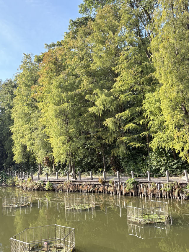 山丘環抱下的寧靜寺廟  
