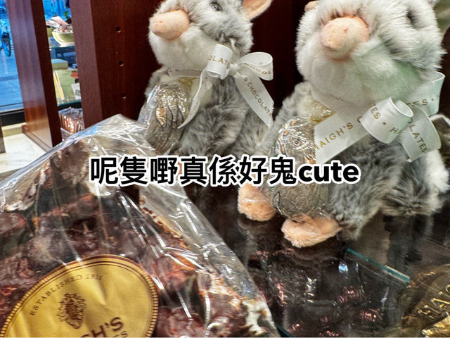 透明袋中的幸福甜點Haigh’s Chocolate攻略🔥 澳洲國民朱古力，入紐西蘭入境規則必看！