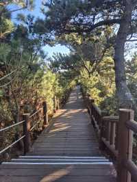 ☀️ 제주 송악산 둘레길, 한 바퀴로 만나는 서귀포 풍경 🌊