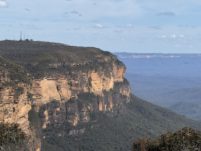 Sydney Signs Tripcom🏙️