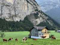 🌄❄️ GRINDELWALD WONDERLAND — WHERE THE ALPS FEEL ALIVE 🇨🇭✨