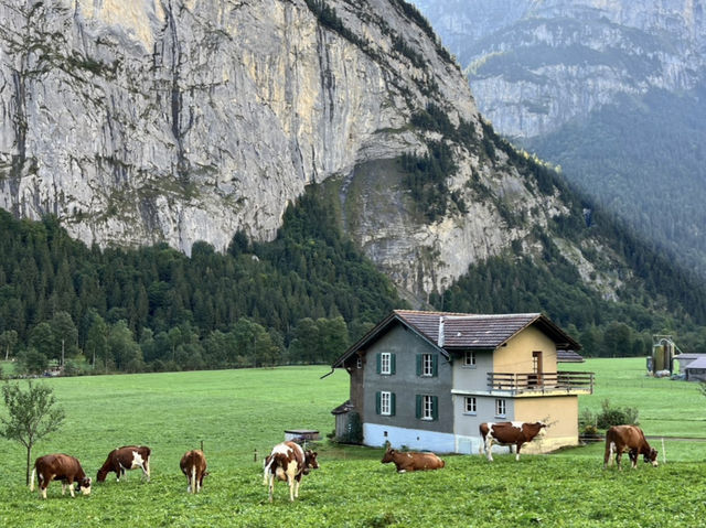 🌄❄️ GRINDELWALD WONDERLAND — WHERE THE ALPS FEEL ALIVE 🇨🇭✨ 🌄❄️ GRINDELWALD WONDERLAND — WHERE THE ALPS FEEL ALIVE 🇨🇭✨