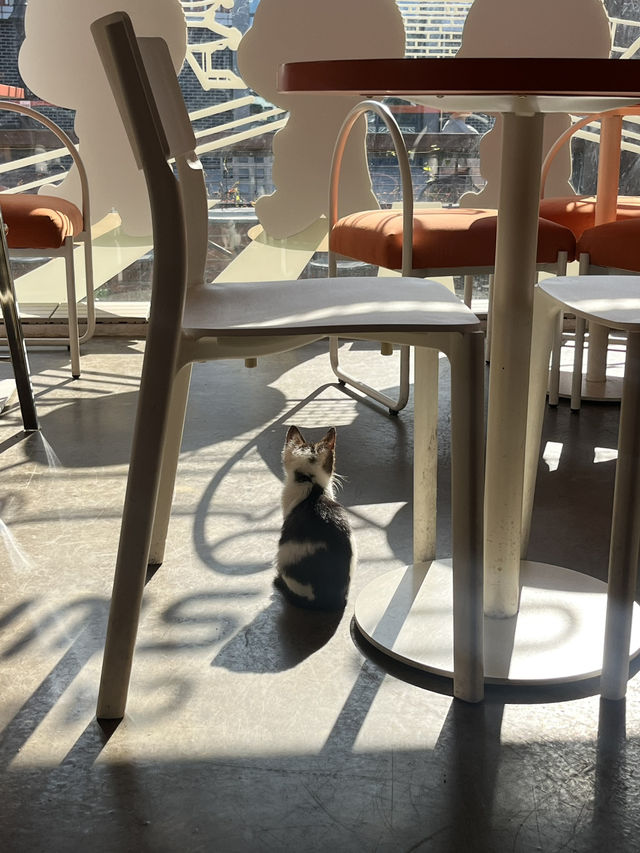 경주 햇살맛집 한옥카페 경주 햇살맛집 한옥카페