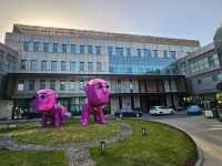 雲和夜泊酒店(上海浦東國際機場店)