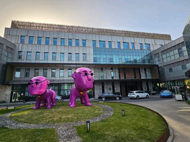 雲和夜泊酒店(上海浦東國際機場店) 雲和夜泊酒店(上海浦東國際機場店)