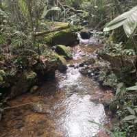 Tropical Adventure from Cool Mountain Foothills to Sun light Islands