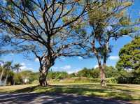 城市裡的靜謐綠洲:虎頭山「禾林浮島」早午餐&虎頭山創新園區散策