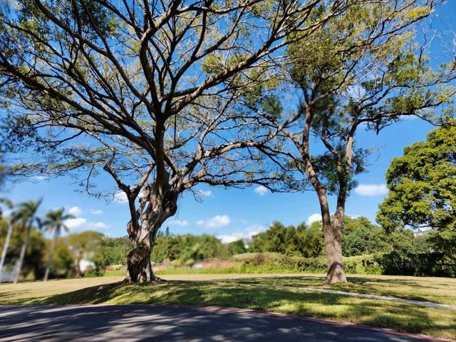 城市裡的靜謐綠洲:虎頭山「禾林浮島」早午餐&虎頭山創新園區散策 城市裡的靜謐綠洲:虎頭山「禾林浮島」早午餐&虎頭山創新園區散策