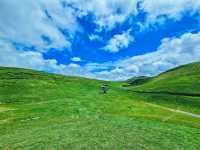 不用去新疆!在湘南郴州找到宫崎骏童话草原|蹒跚小旅人一日漫游