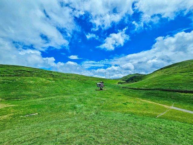 不用去新疆!在湘南郴州找到宫崎骏童话草原|蹒跚小旅人一日漫游 不用去新疆!在湘南郴州找到宫崎骏童话草原|蹒跚小旅人一日漫游