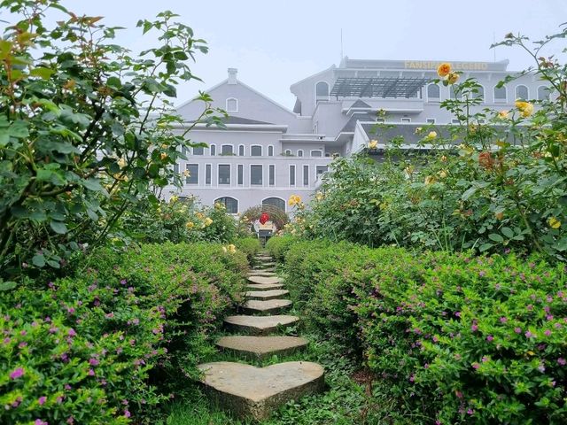 Sun Plaza Sapa: The Must-See Icon in TT. Sa Pa 🌧️🏞️