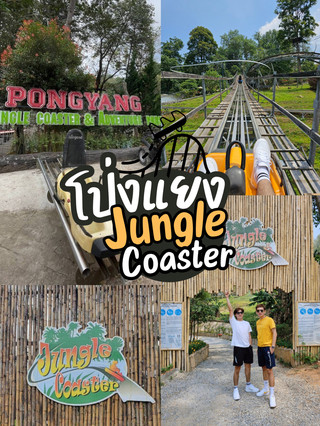 Pong Yaeng Jungle Coaster and Zipline.