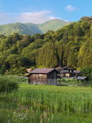 Summer days in Shirakawa-go 🌿🛖🇯🇵