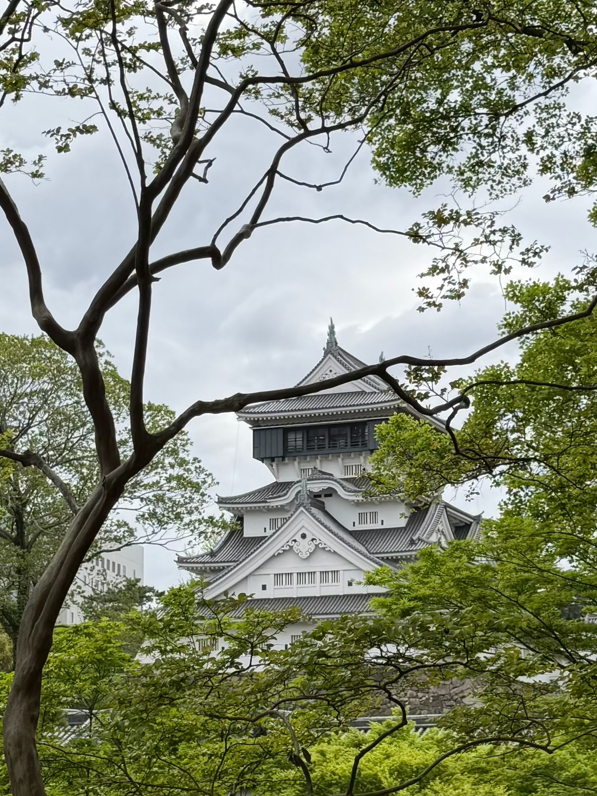 5 Days and 4 Nights in Fukuoka.