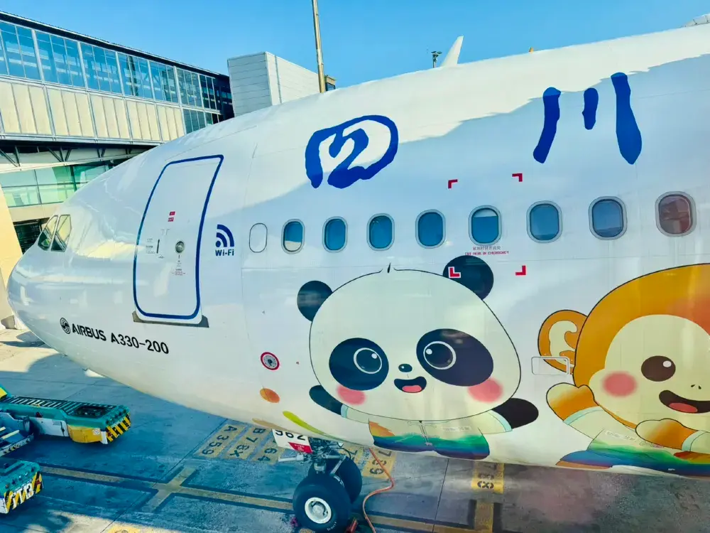 청두 톈푸공항 환승 자투리 시간 활용 판다 관람 핵심 공략.