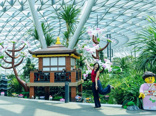 #arrivalguide  

Just landed in Singapore? The adventure starts at Singapore Changi Airport — ranked among the world’s best for a reason! 🛬✨

Changi isn’t just an airport; it’s a mini destination. Here’s my quick guide on making your transit epic and stress-free:

Must-See Spots in Changi:
🌳 Jewel Changi (78 Airport Blvd, open 24/7). The Rain Vortex is the world’s tallest indoor waterfall. Snap a pic, chill with coffee, and wander through lush gardens.
🦋 Butterfly Garden (Terminal 3, Level 2, Transit, open 24/7) — tropical butterflies everywhere! Perfect for IG-worthy shots.
🎬 Movie Theatres (Terminal 2 & 3, open 24/7) — Free movies if you need a break.
🤸♀️ Play Area (Terminal 3): Traveling with kids? This indoor playground is a game-changer for families.

My Practical Tip:
Don’t rush! If you’re transiting, carve out at least 2 hours to explore the airport. Make sure you check real-time flight info on the screens — Changi is huge and efficient, but gates can be far apart. For the best deals, grab snacks and shopping inside the airport; duty-free here is legit.

Getting Around:
The airport offers free Skytrains between terminals — fast and super clean. Signage is everywhere in English, Chinese, Malay, and Tamil, so you’ll never feel lost.

Eat & Recharge:
Check out food courts like Terminal 3’s Kopitiam for tasty local eats without breaking the bank (try laksa or chicken rice). Plenty of charging stations and Wi-Fi too!

Good To Know:
Singapore’s weather is hot and humid — dress light! No visa needed for most short-term visitors; just have your passport and departure card handy.

#singaporestopover  #changiairport  #travelhacks 