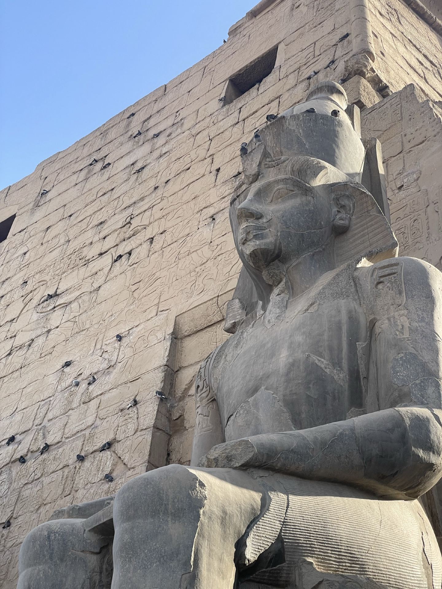 🏛️ Walking Through Ancient Egypt — Luxor Temple 🇪🇬