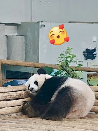 FREE ZOO NEGARA ENTRY FOR MALAYSIANS ON YOUR BIRTHDAY?!👀
