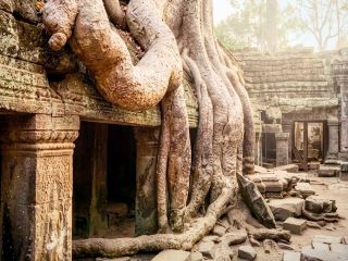 ☔️ Whispers of the Epic Jungle Ruins