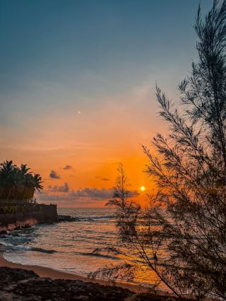 🌅 Goa — Chasing Sunsets by the Sea
