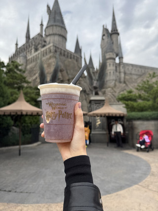 Universal Studios Beijing - место, куда мы бы точно вернулись 🎢