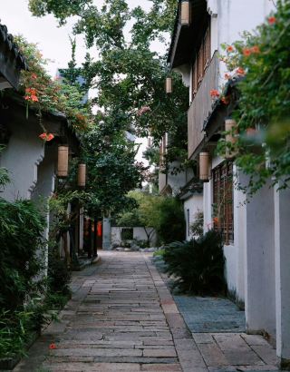🍂 Xuntang Ancient Town | Autumn Arrives Along the Water