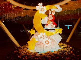 A Festival of Light in the Residential Heart