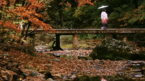 이번 국경절 인파를 피해 떠나는 가을 명소, 중국의 ‘단풍 수도’ 본계(번시) — traveler post in 선양