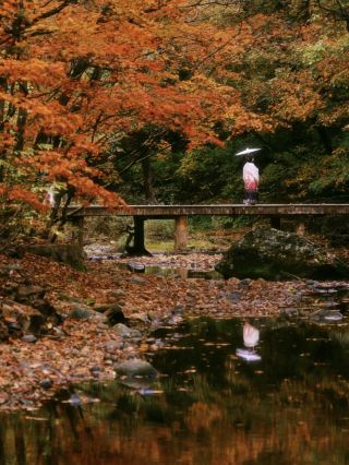 Skip the crowds this National Day and check out this autumn spotChina's Maple LeafCapital❤️